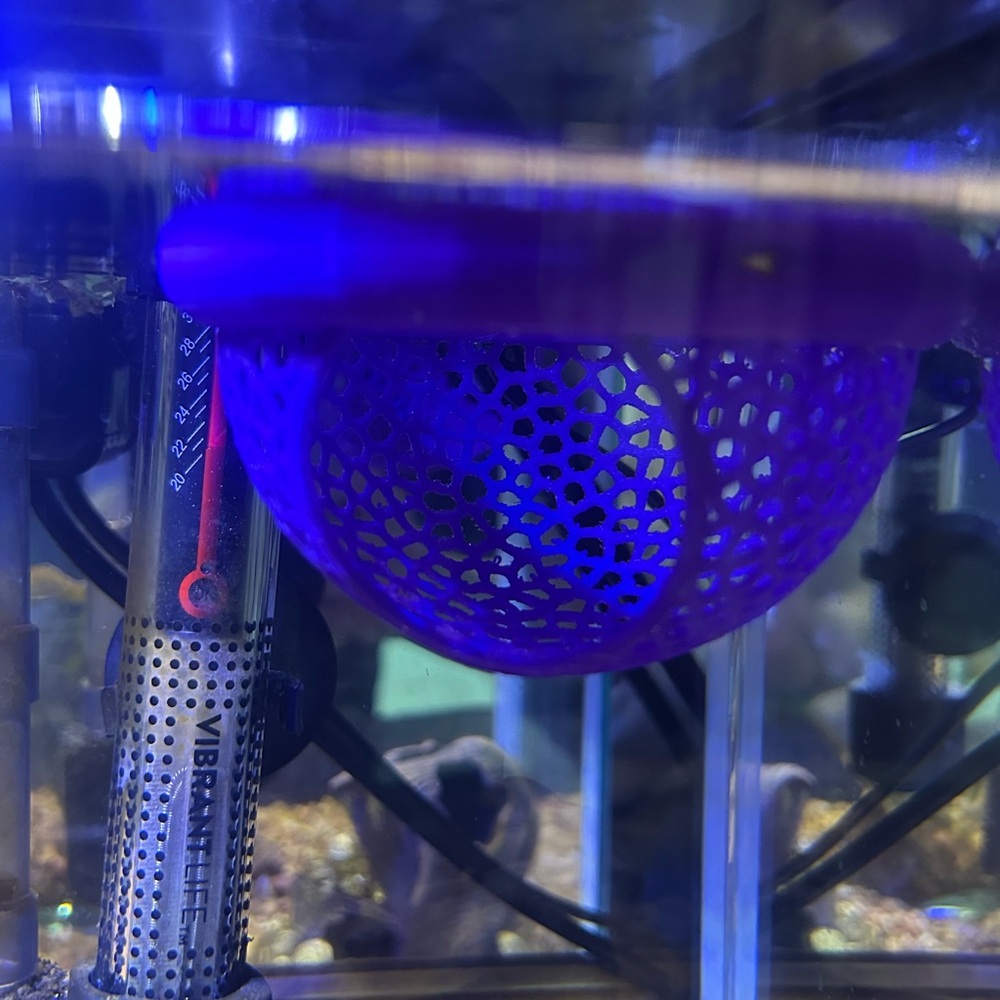 Fish Floating Cave - Picture 5 of 5